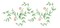 Delta Stencil Magic Decorative Stencils-Delicate Vine Border 8.25"X18"